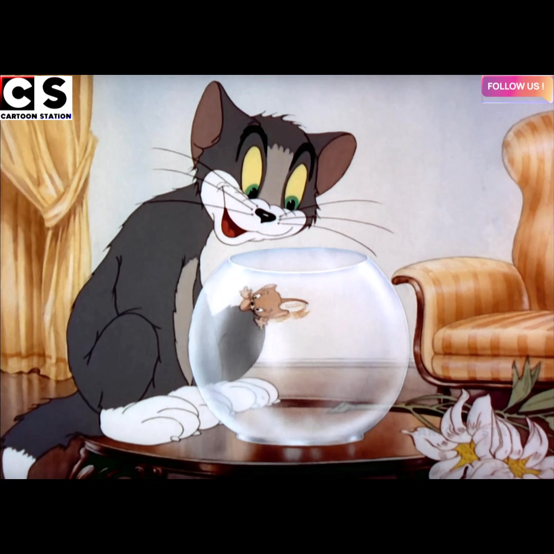 Tom and Jerry Part_1 🤣 #tomjerry #tomandjerry #tomandjerryfunny ...