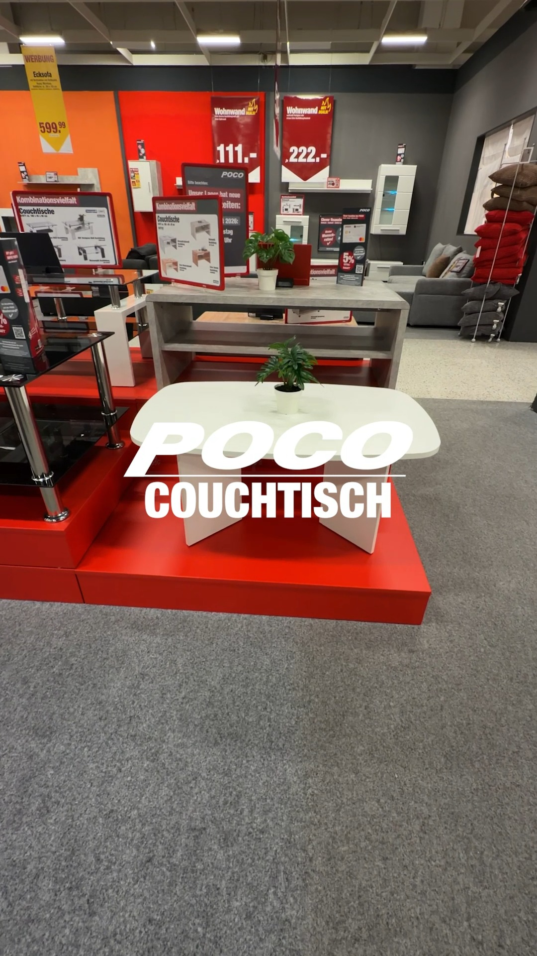Tisch-Quiz: Wer weiß, was das für eine Pflanze ist?, #couchtisch #möbel #wohnen #deko #wohnidee #BudgetFriendly, #Schnäppchen #poco | POCO Einrichtungsmärkte