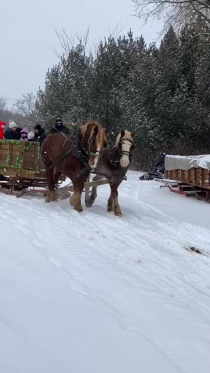 January 1, 2026 sleigh ride. | Red Ridge Ranch Riding Stable | Facebook