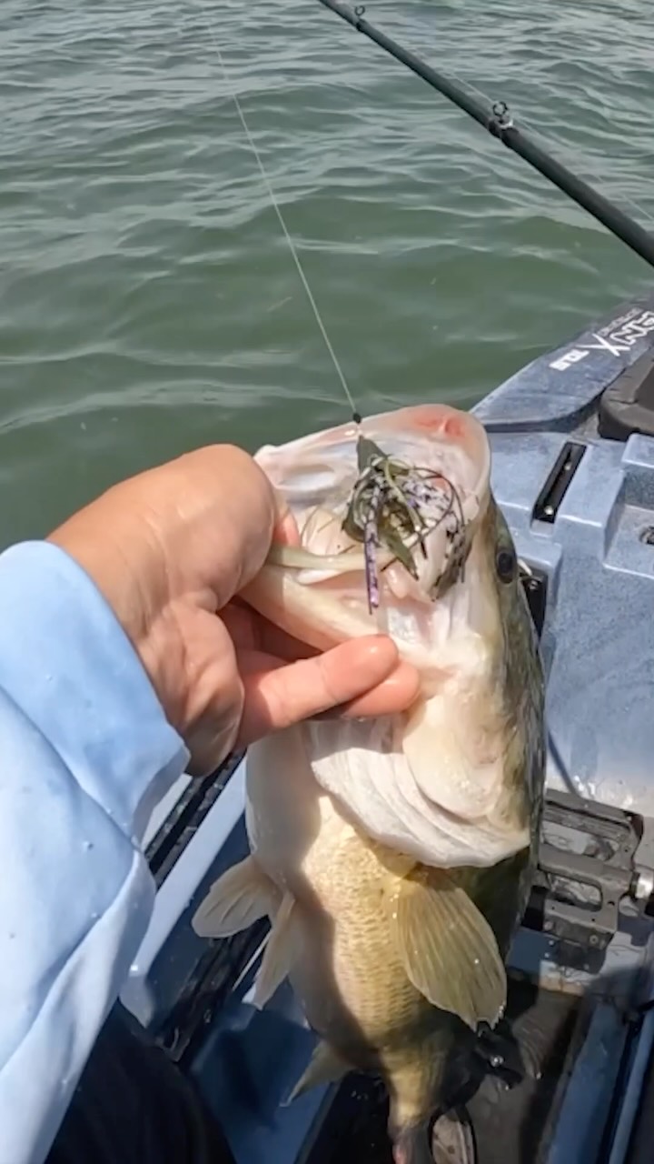 berkley fishing contact information HighJacker Saltwater Pro Pack Kit Spring loaded for easy one hand use Never a bad idea to