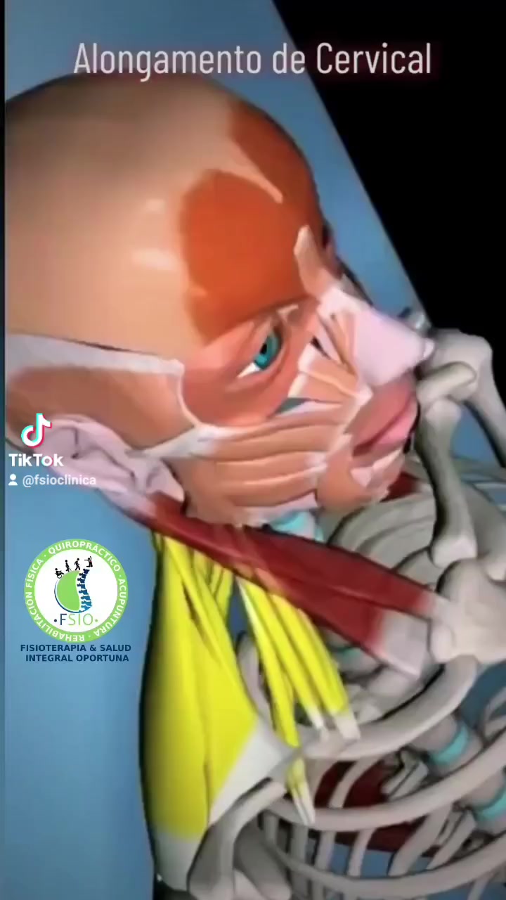 ¿Qué es una elongación cervical? Esta técnica de elongación es ...