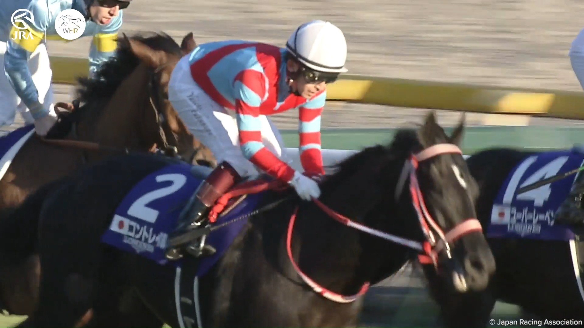 In a thrilling edition of the #JapanCup, it was DEEP IMPACT