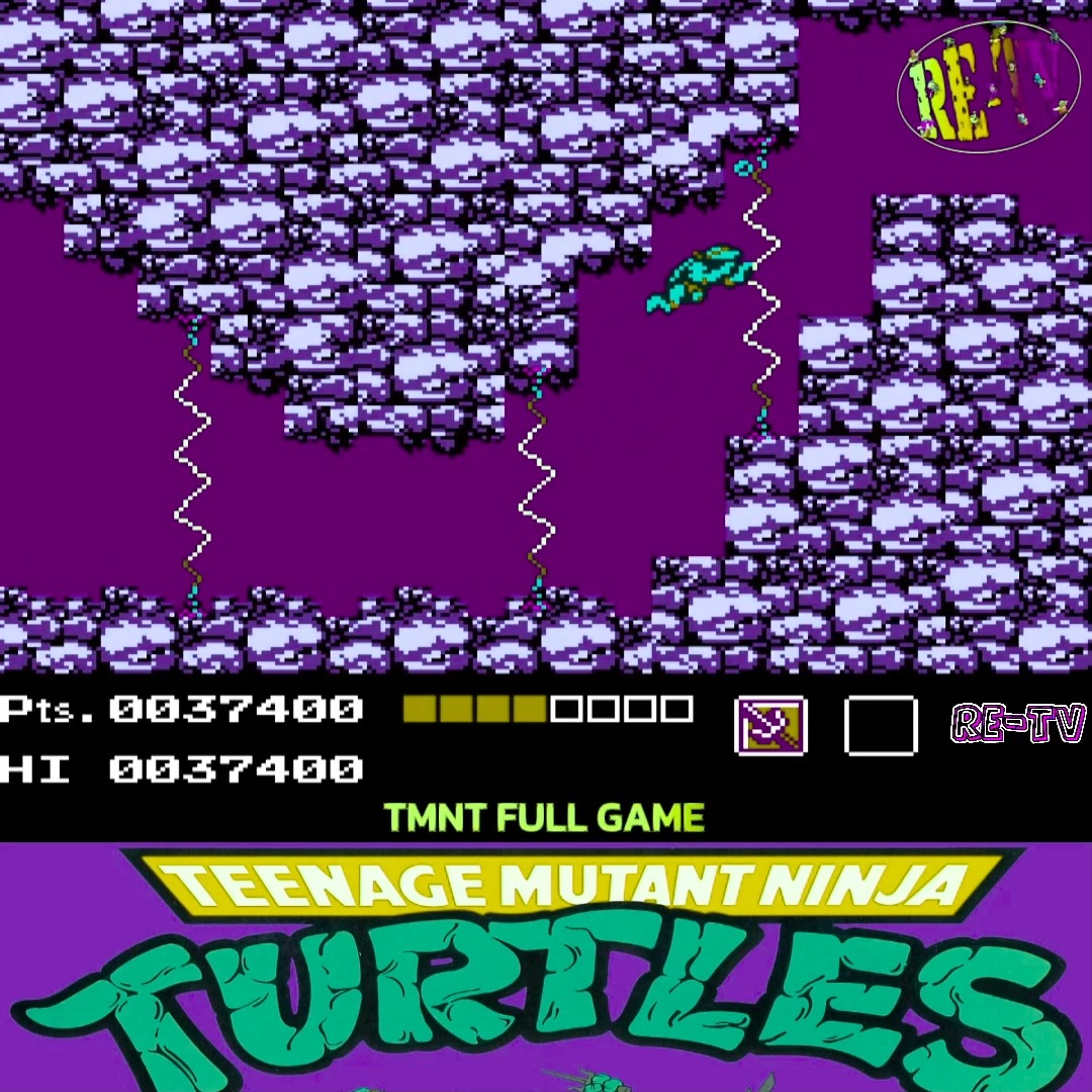 The Dam Level That Damned Us All | Teenage Mutant Ninja Turtles