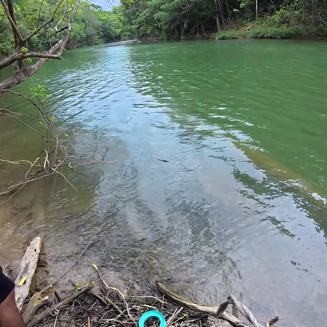 pescando en un hermoso paraíso rio cristalino Parte 9 | Pesca y ...
