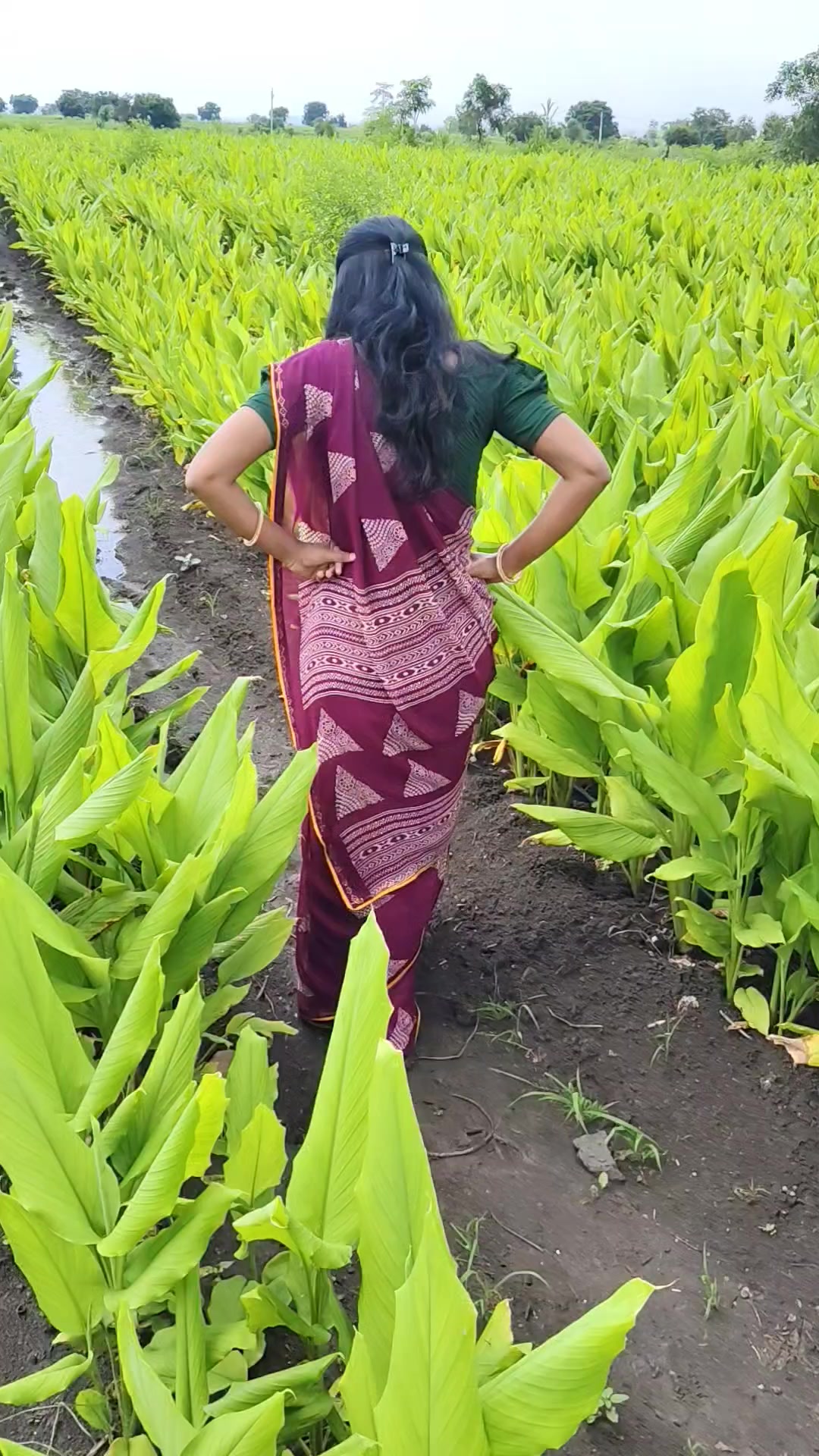 तुमच्याकडे काय परिस्थिती 🫣🫣 #shorts#viralvideo#trending#comedy# ...