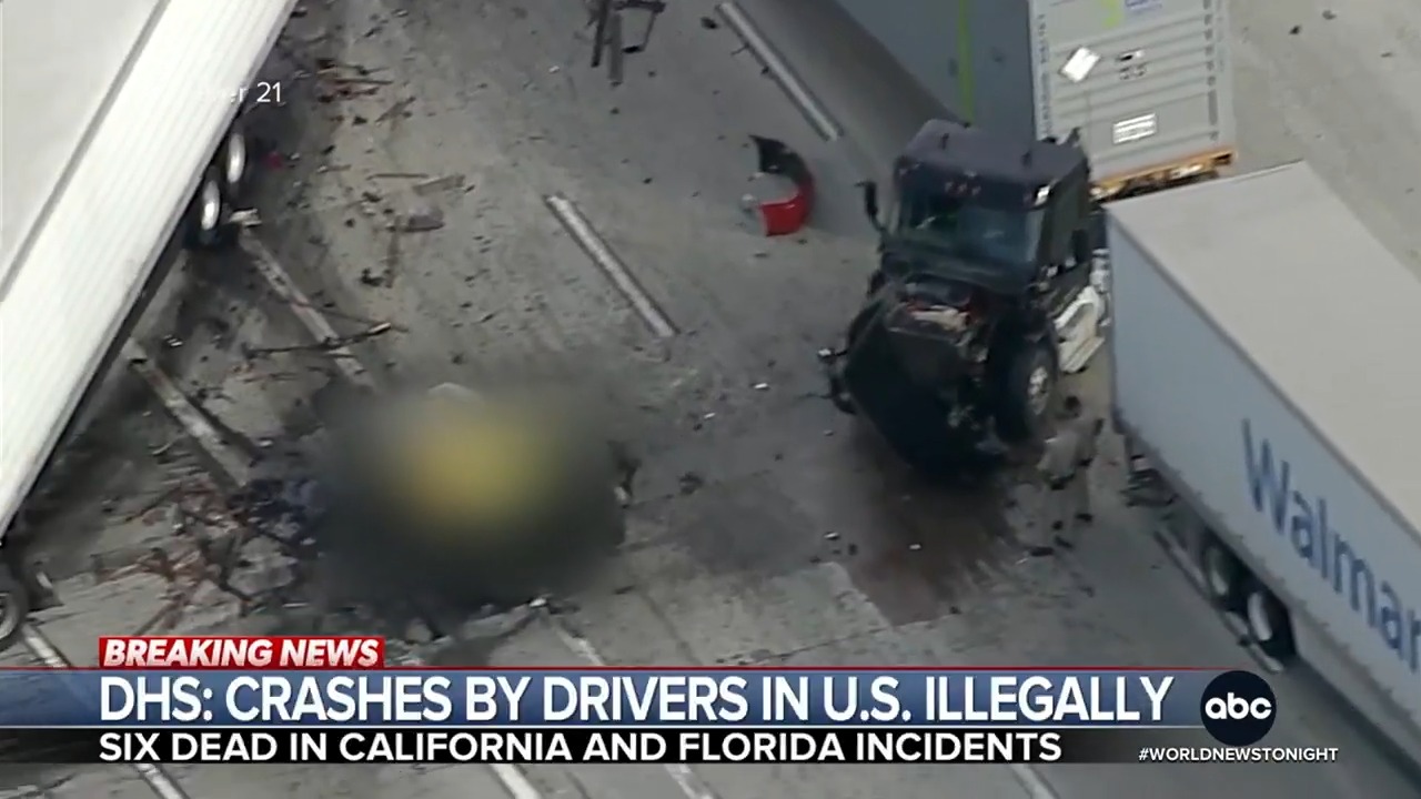 The truck driver charged in a deadly chain reaction crash that left ...