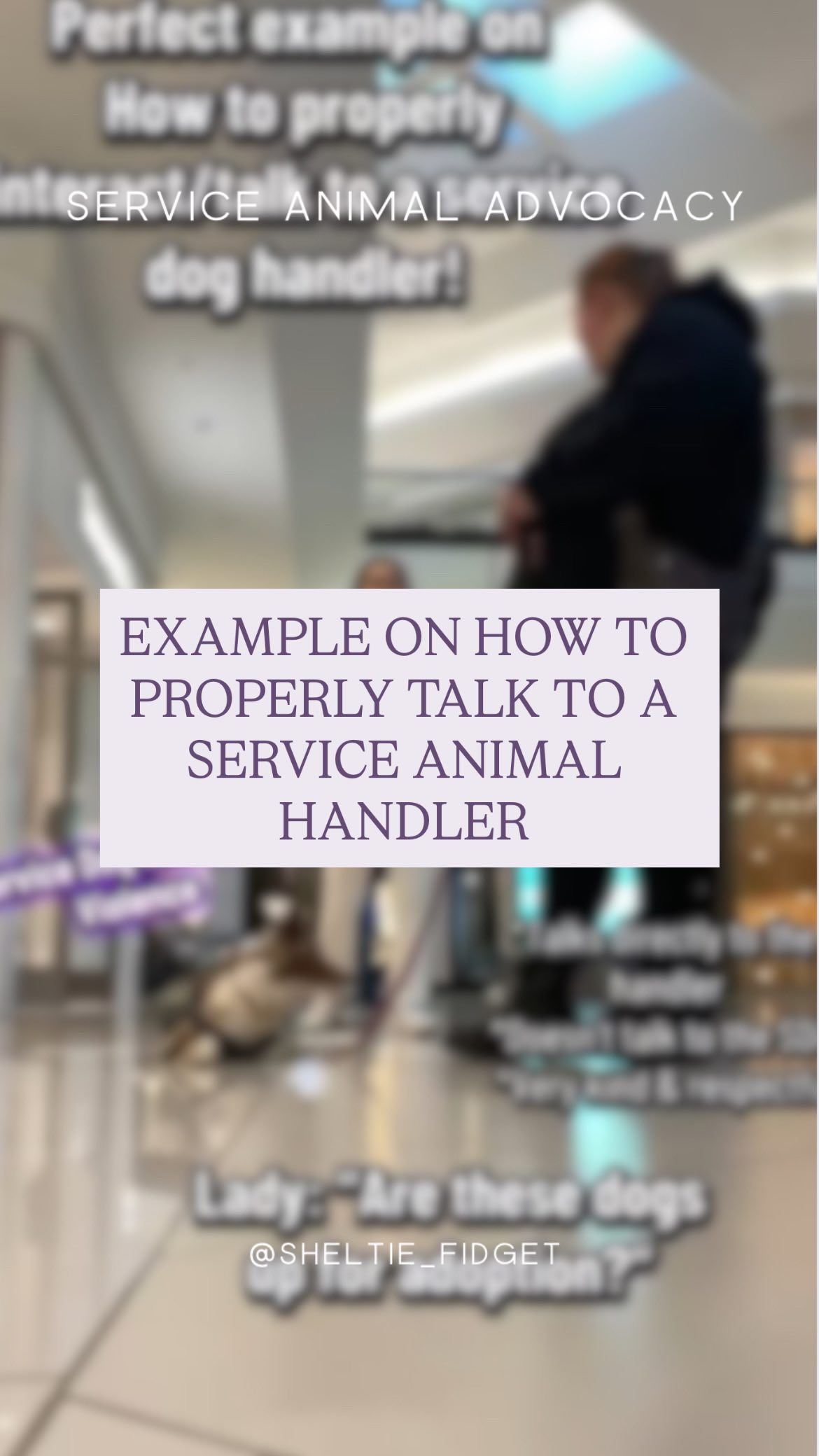 *REPOST* This is a perfect example of how to properly interact with a ...
