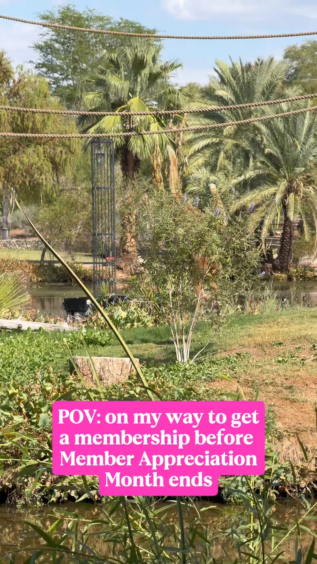 The Phoenix Zoo is spreading the love this weekend with $10 off ...