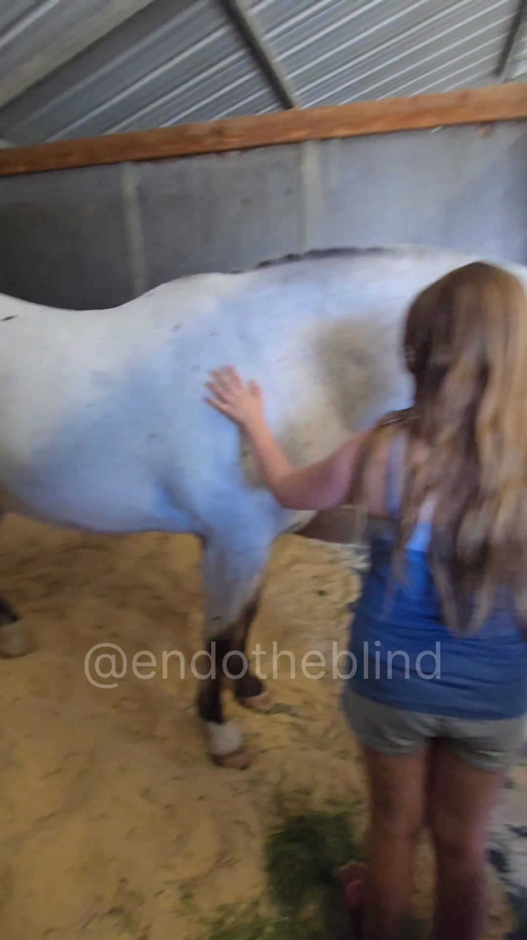 Endo was multitasking at the Western States Horse Expo Napping while ...