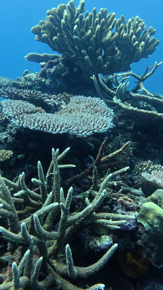 Discover the magic of Fiji, a paradise where beauty extends far beyond ...