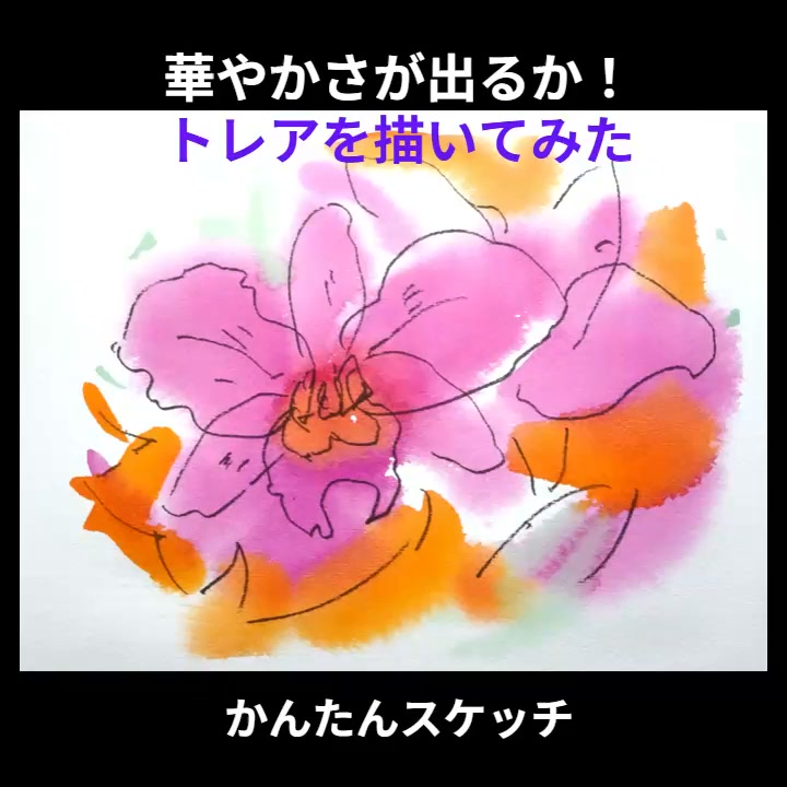 Seiji Funamoto (@seiji.funamoto) • Facebook