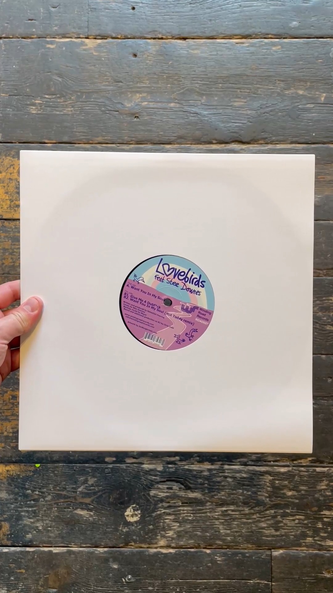 LOVEBIRDS FEAT STEE DOWNES - Want You In My Soul (Picture Disc