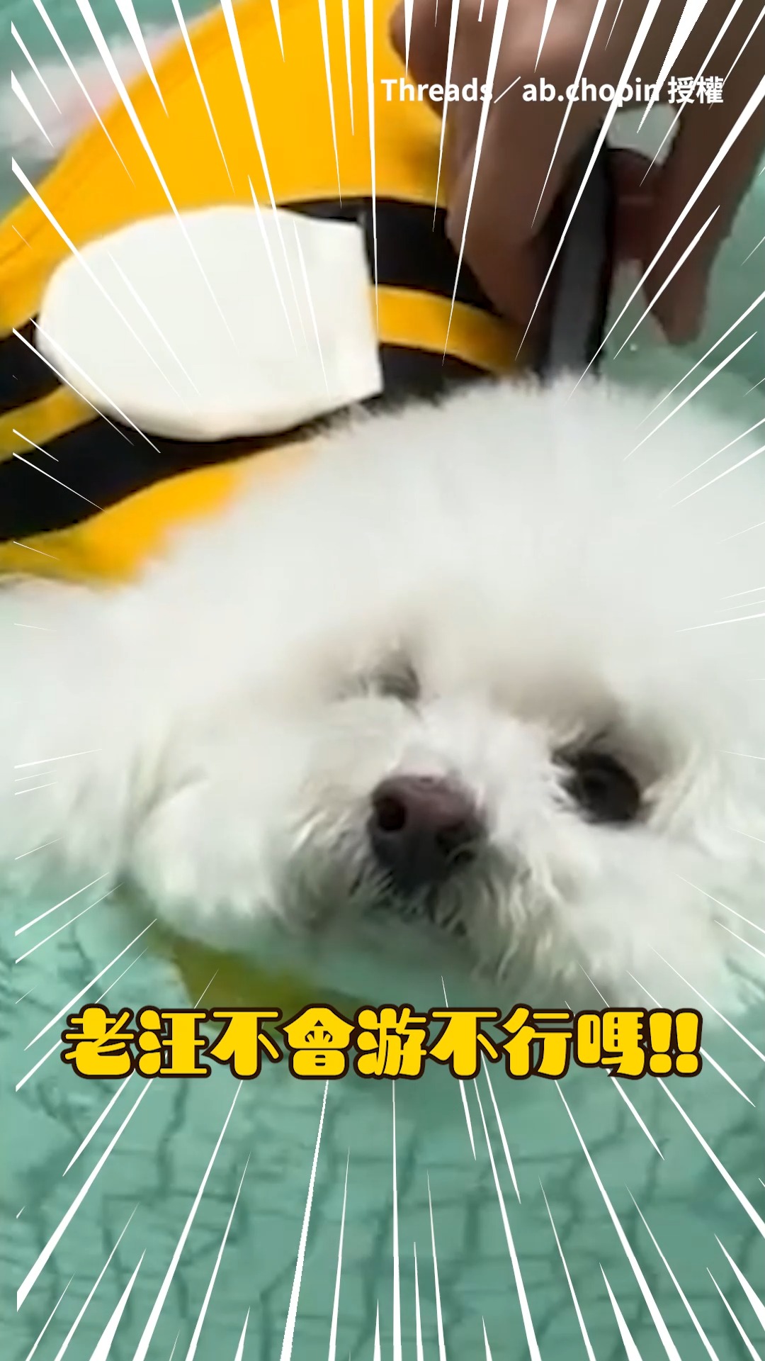 這招叫做輕功水上漂～(#01J) 【有游泳但不多】別狗在游泳 你怎麼在玩水上漂？ 影片授權：Threads／ab.chopin ...
