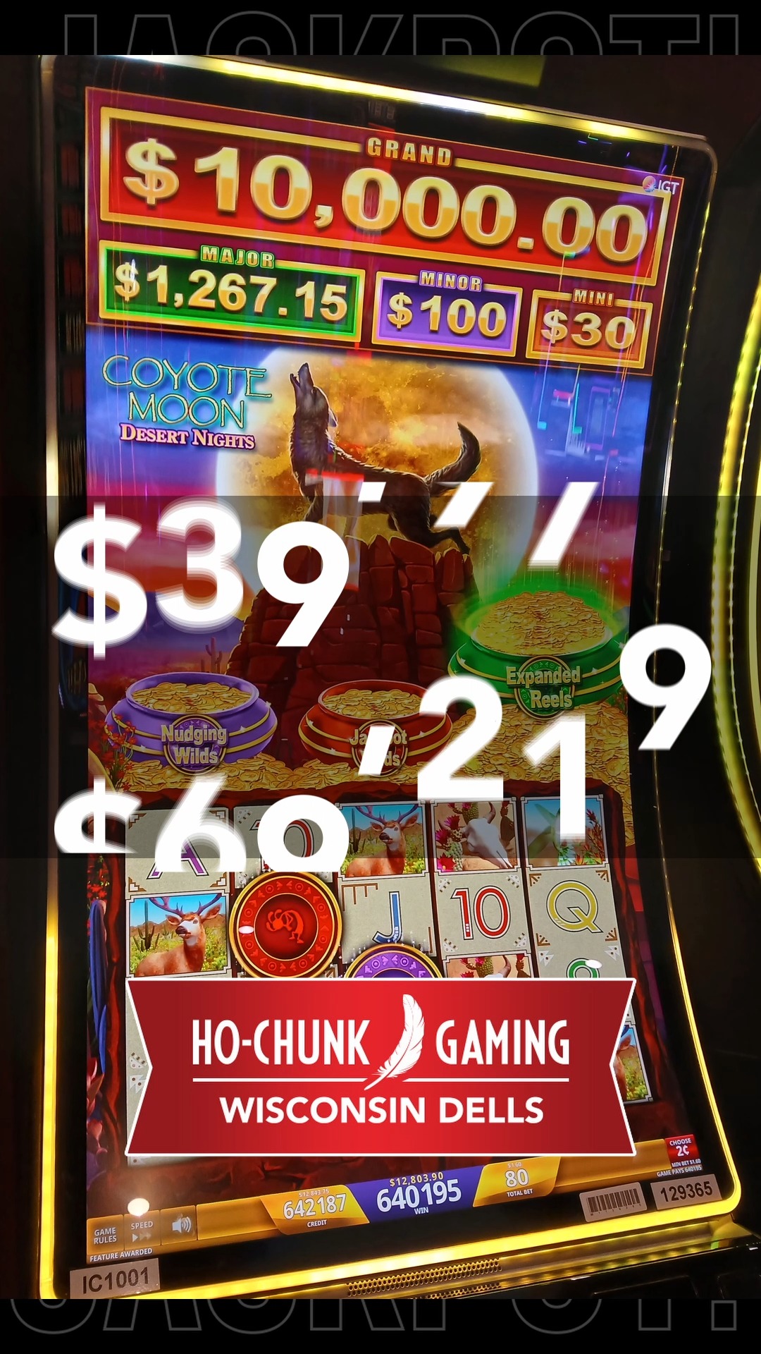 desert night Echtgeld casino – Desert Night Casino Slot Spiele kostenlos: So gut ist das Demo-Angebot