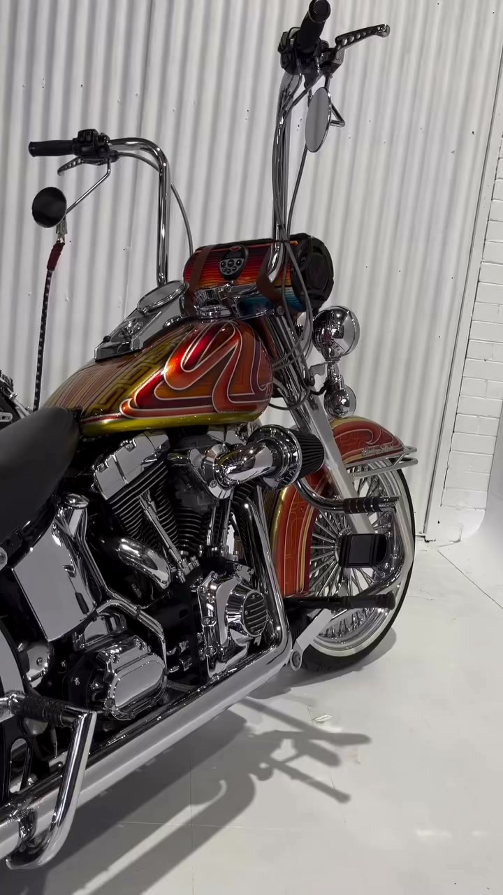 Harley Davidson Fully Custom made for the IRON MAIDEN TOUR Electra