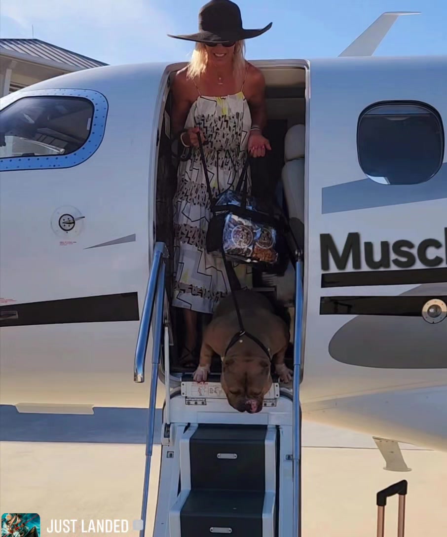 Traveling with Muscletonebullys ....footage coming soon! STAXX Daniel ...
