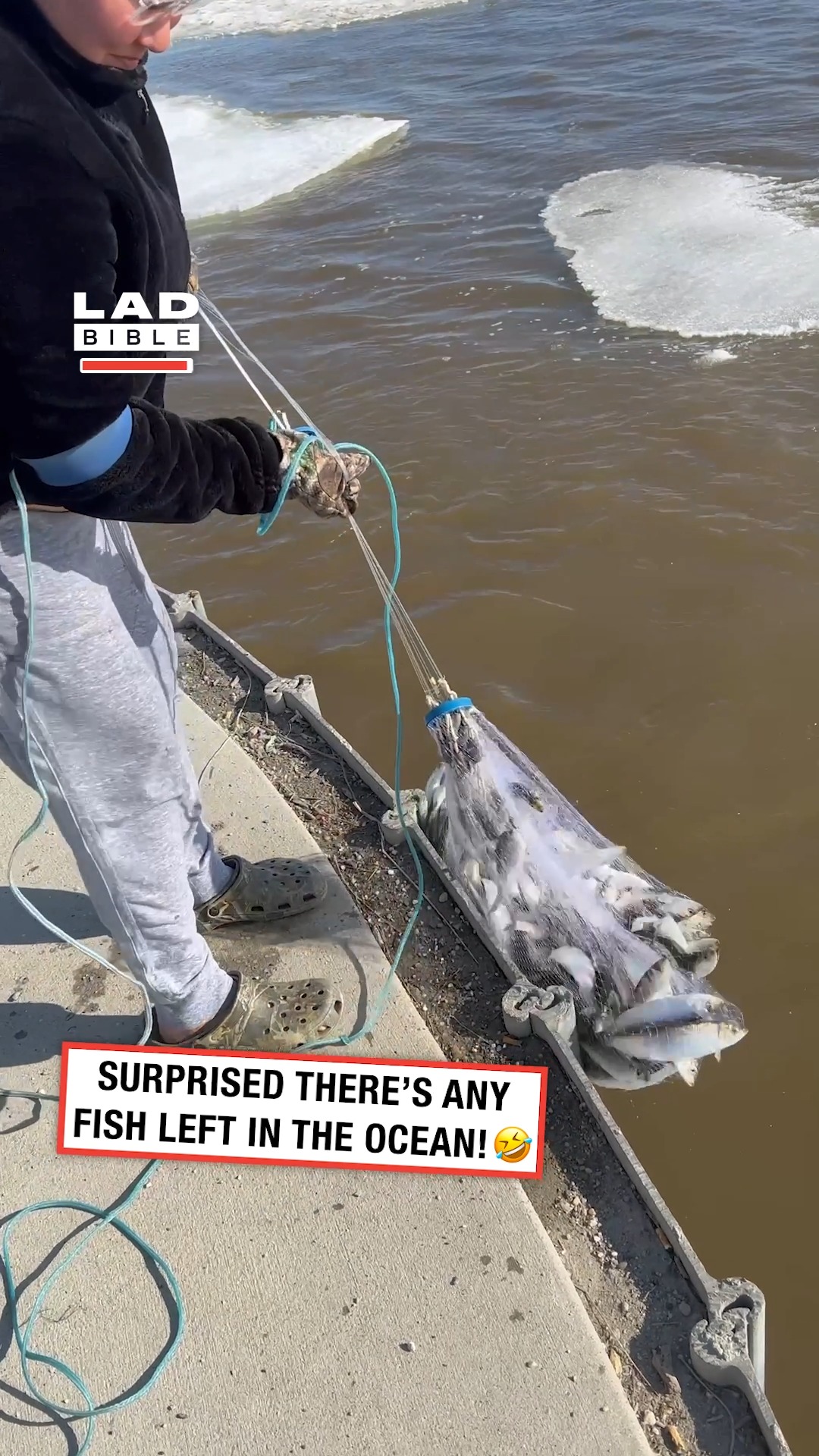 I'd be surprised if there was any fish left in there 😂 | LADbible ...