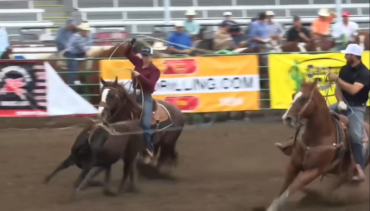 The Best Of The Best Team Roping Pro/Am was great watching ...