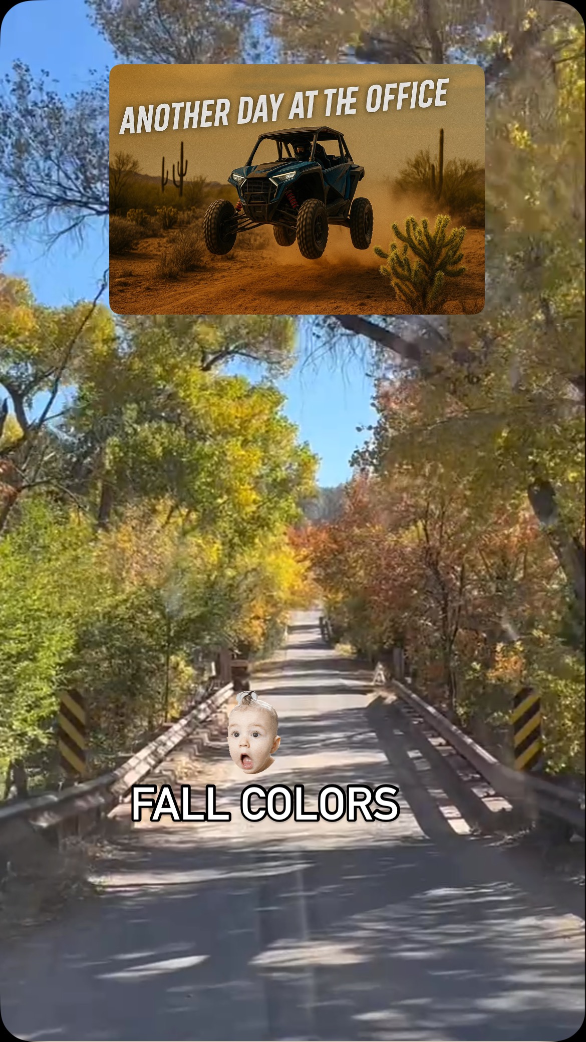 Fall colors! #utvoffroadadventures #camp verde #reel | UTV Offroad ...