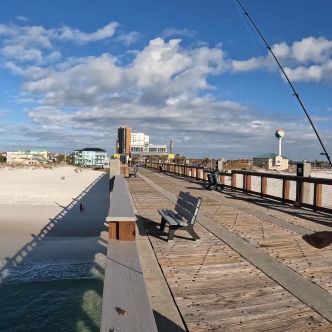 The gulf pier was loaded with the best tasting fish! | AnglerUp with ...