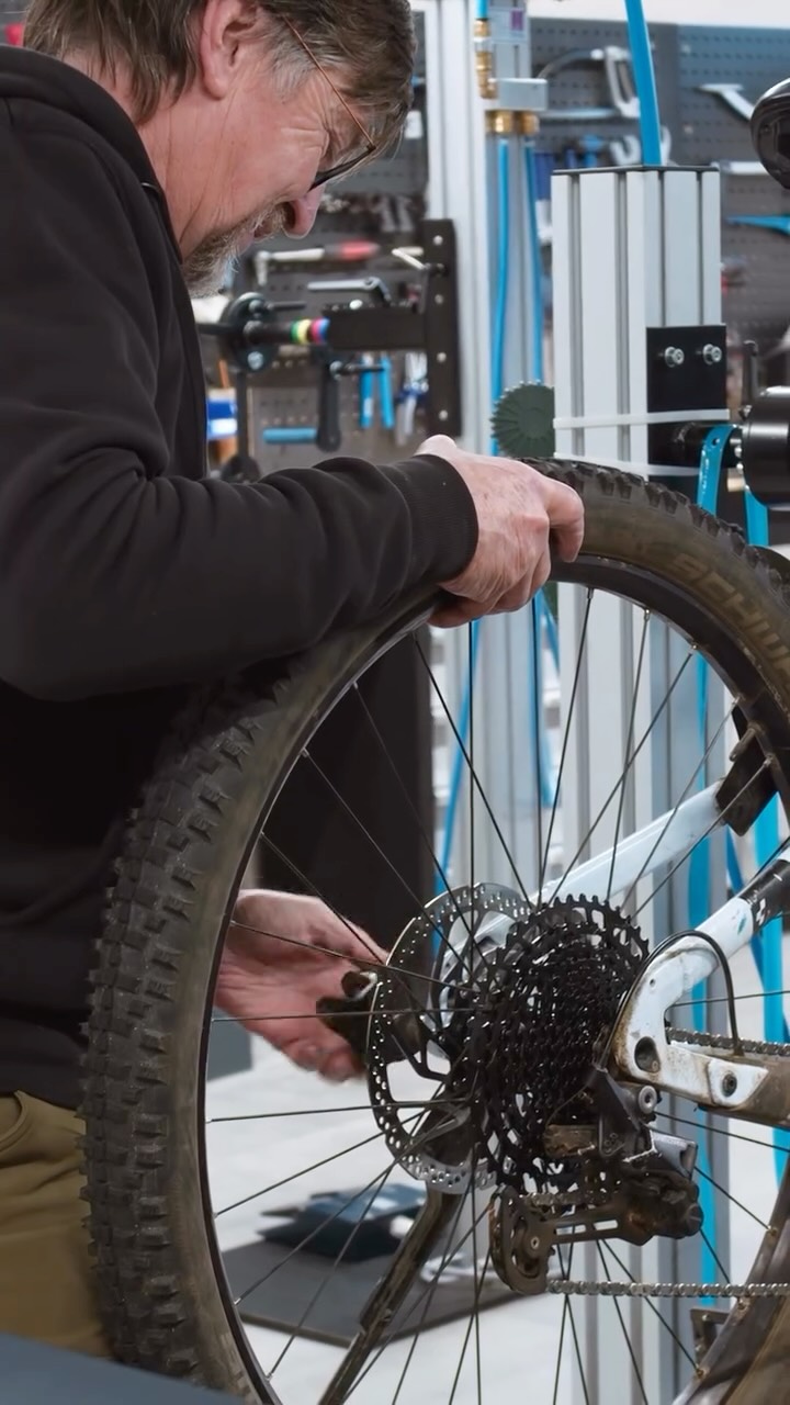 e-bike damen nabenschaltung KTM Cento 11 Plus Di2 2026 Dekoracje Schallplattenregal LP Regal von Kaufmenge:10 Stück