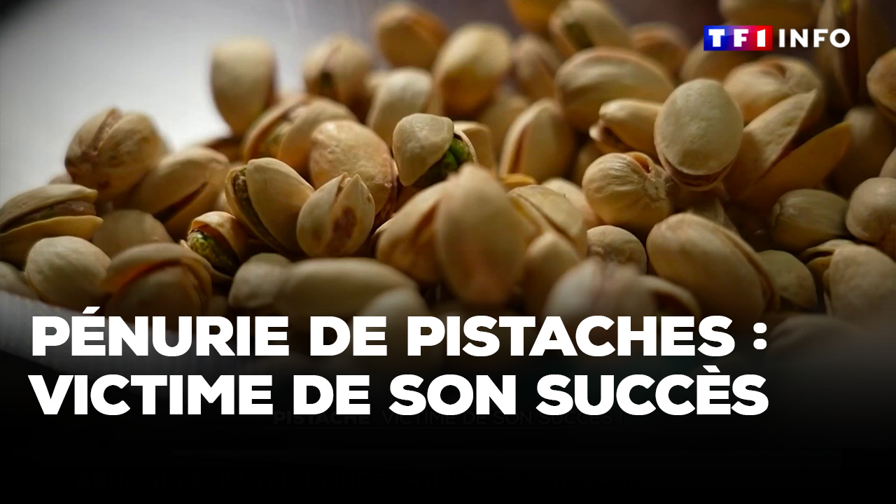 Une pénurie mondiale de pistaches en vue ? C'est ce que craignent les ...