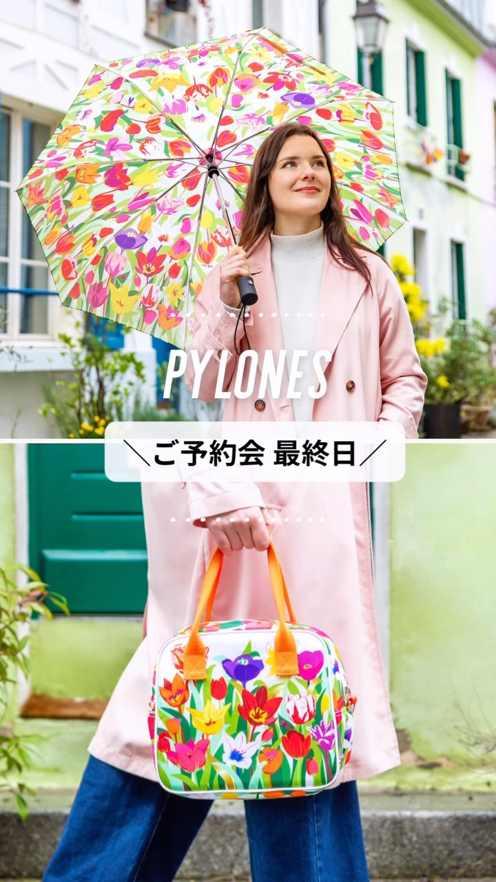 Pylones Japon (@petitcoquin.net) • Facebook