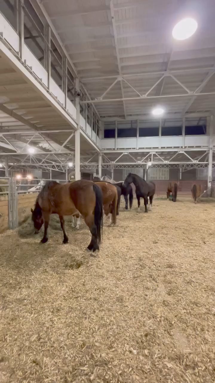 #roguerodeo #gorogue #rodeo #horsepower #stockcontractor #rodeoproducer ...