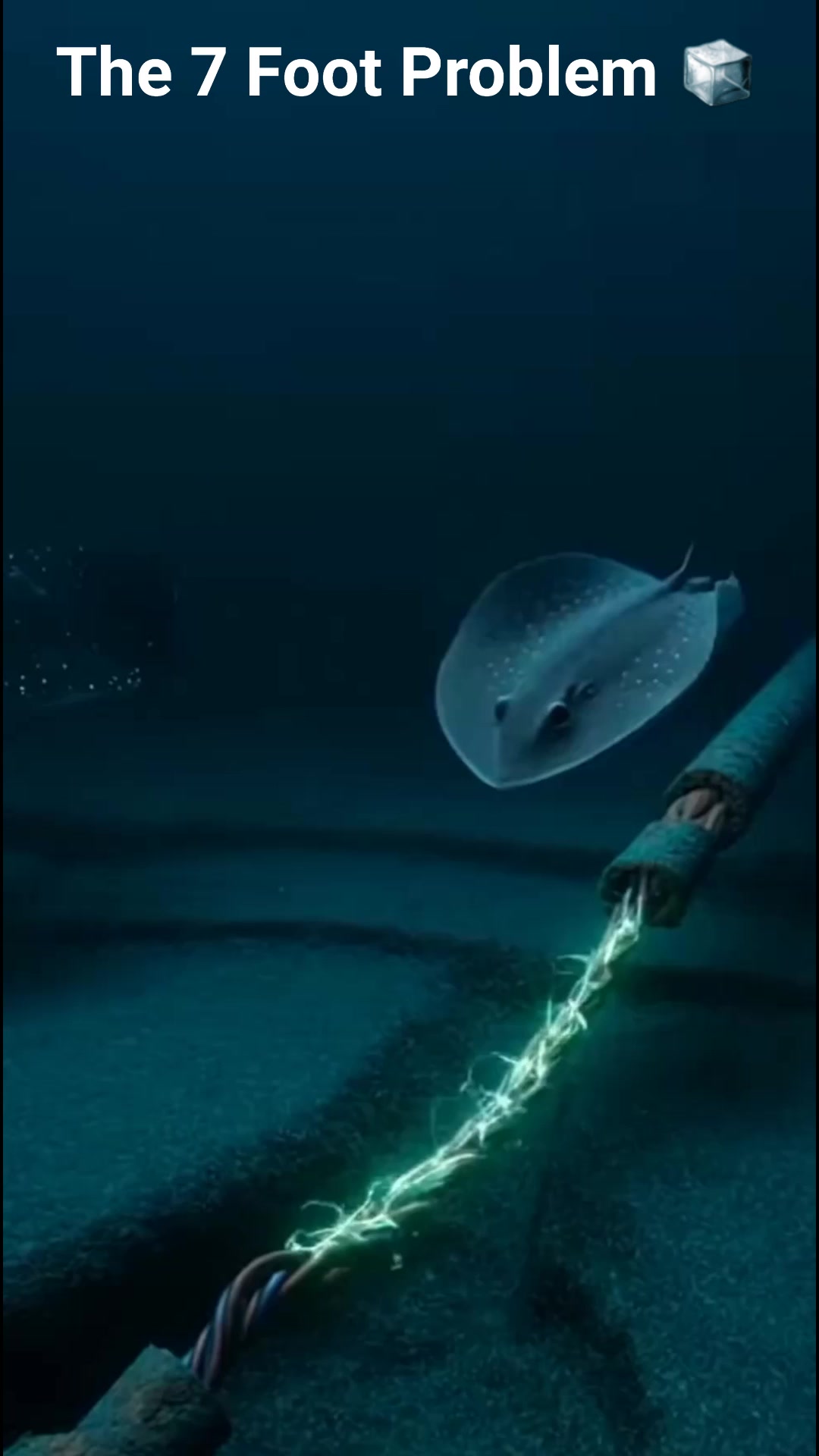 European research teams have made an unprecedented discovery deep ...