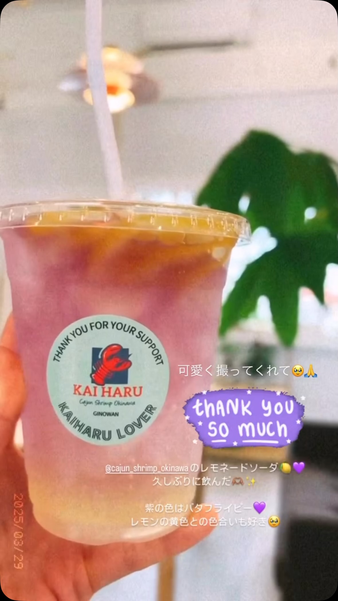 KAI HARU | Ginowan-shi Okinawa