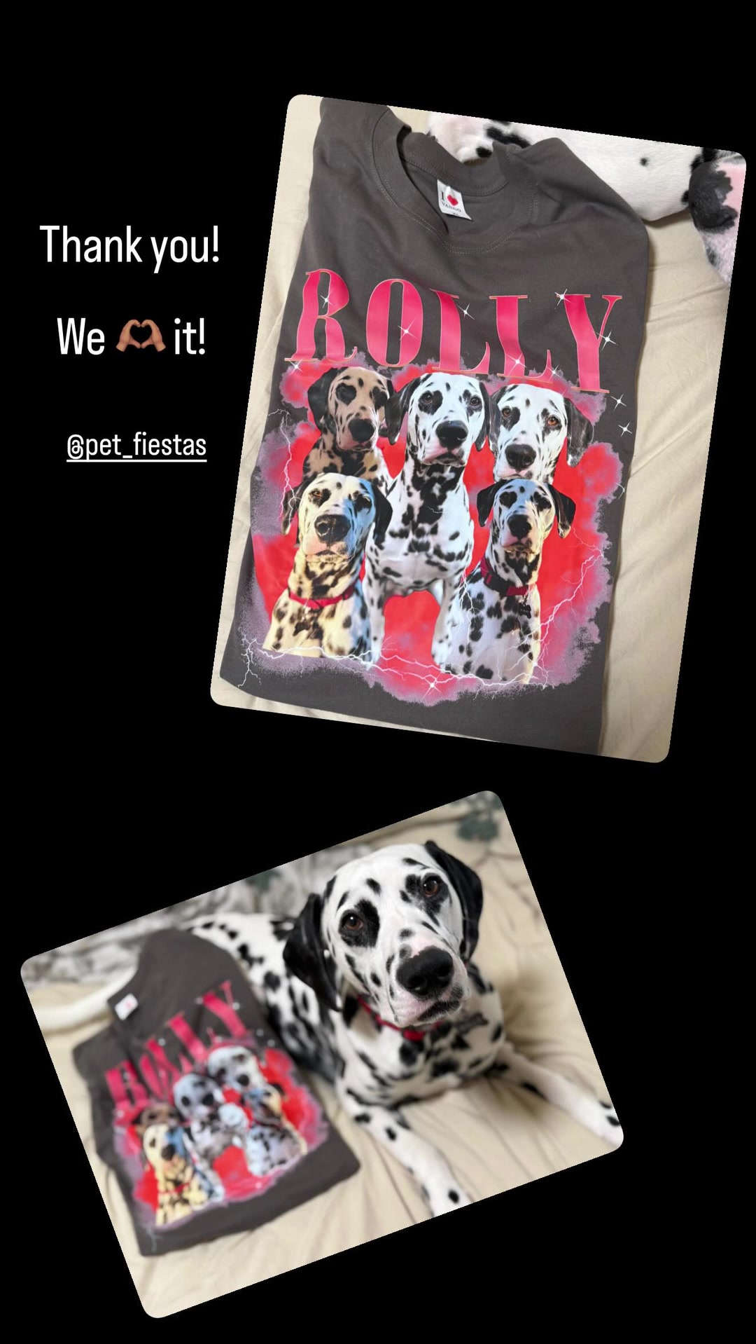 Thank you so much ig@rolly_thee_dalmatian for sharing this awesome pic ...