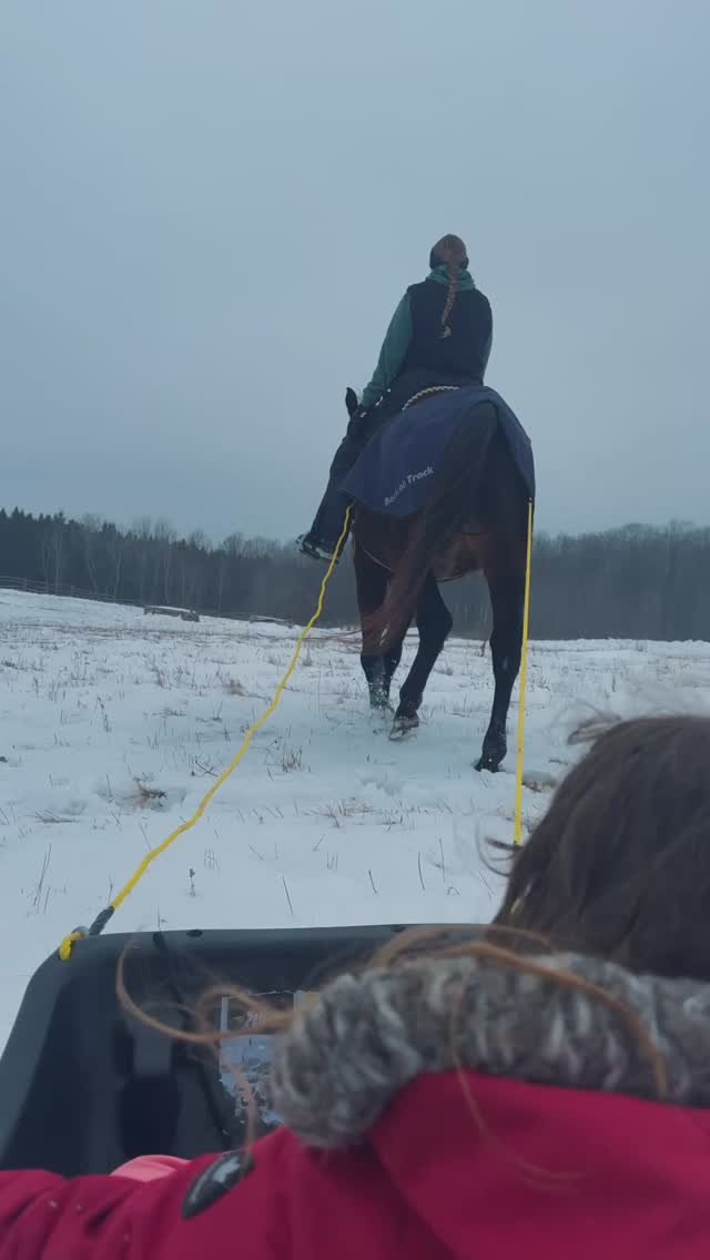 The Crystal Ladder Ranch | Newmarket ON