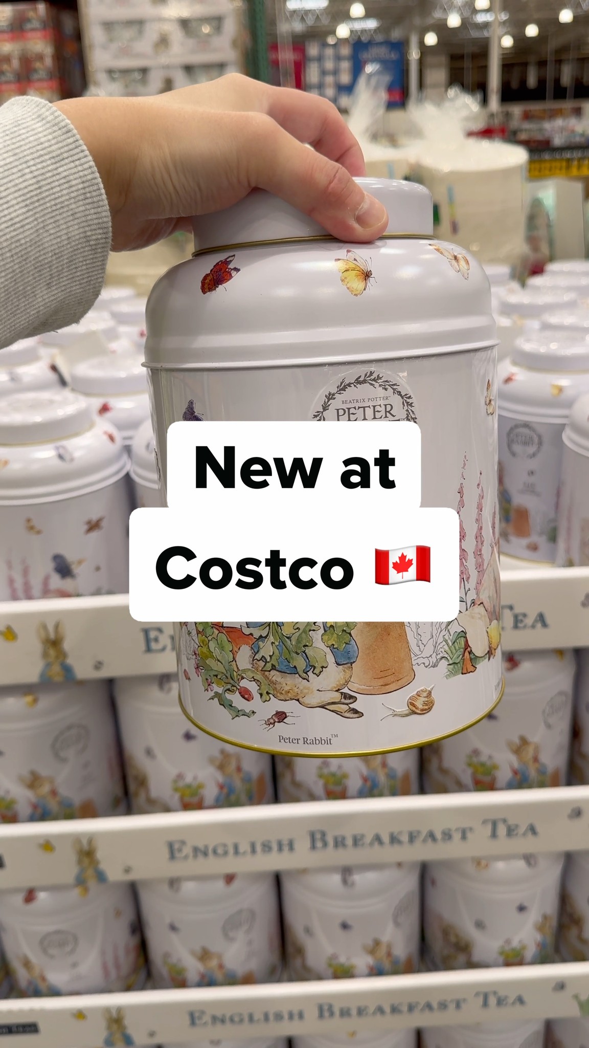 🚨 New Costco Item Alert 🇨🇦 - New English Tea Peter Rabbit Tin (1612995 ...
