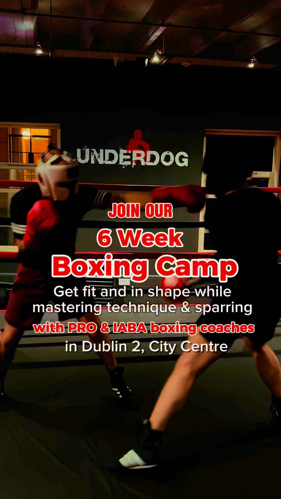 Become the BEST version of yourself in 6 weeks with PRO & IABA Boxing ...