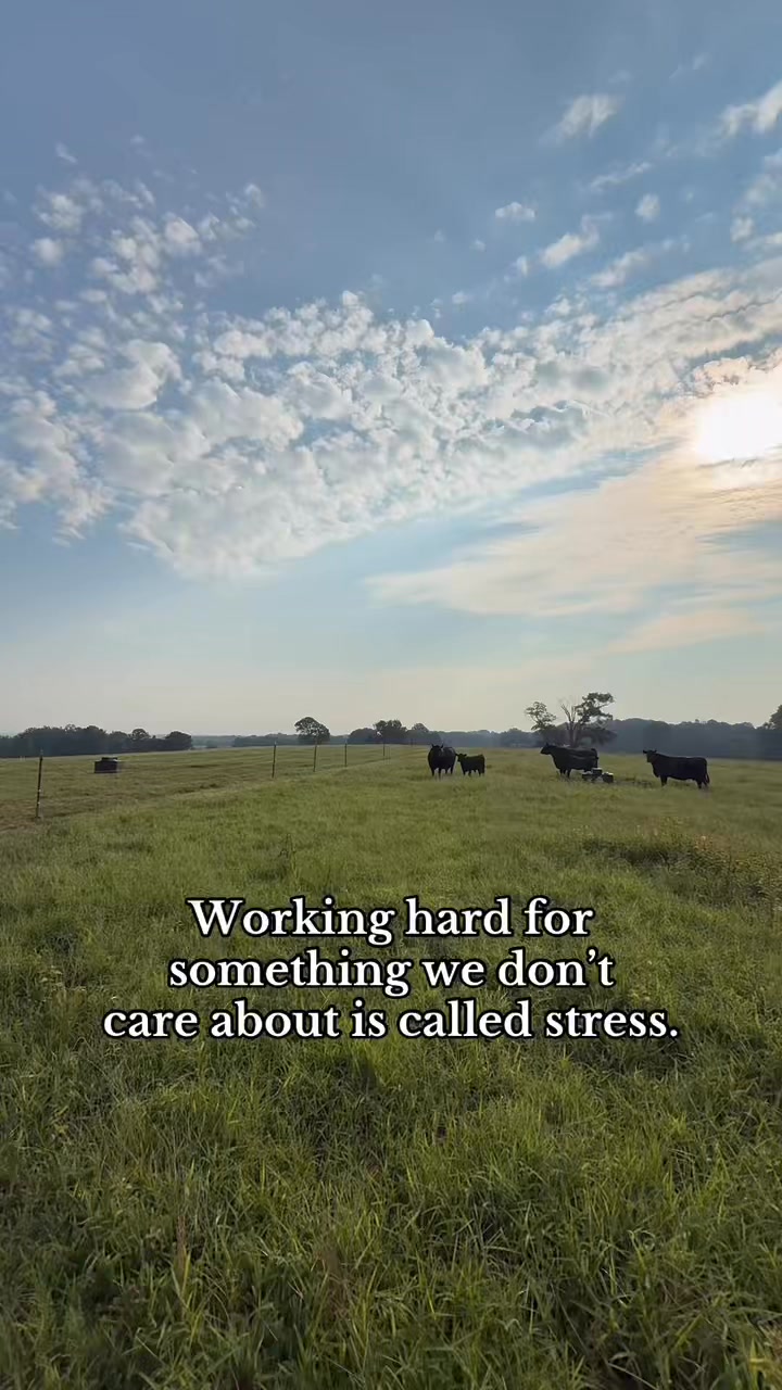 What some call hard work, we call passion. Every day at Iron Pin Ranch ...