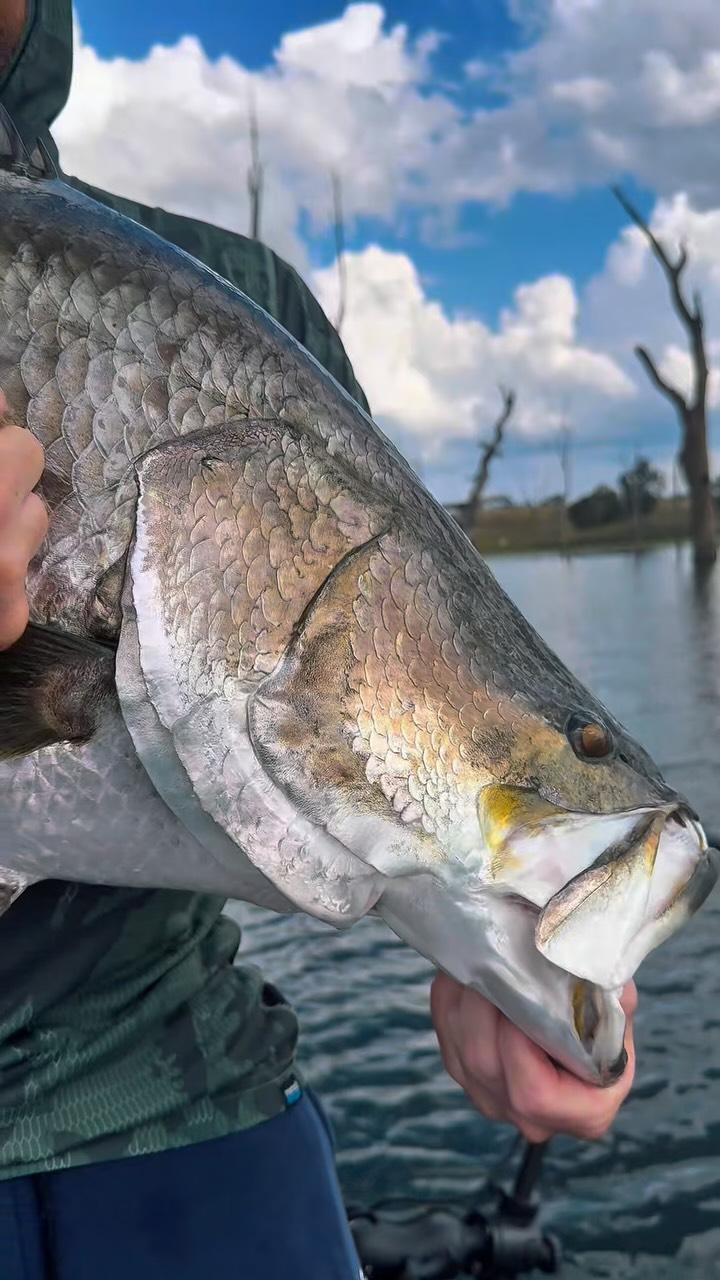 Plenty of great fish caught out on charters today but the highlight ...