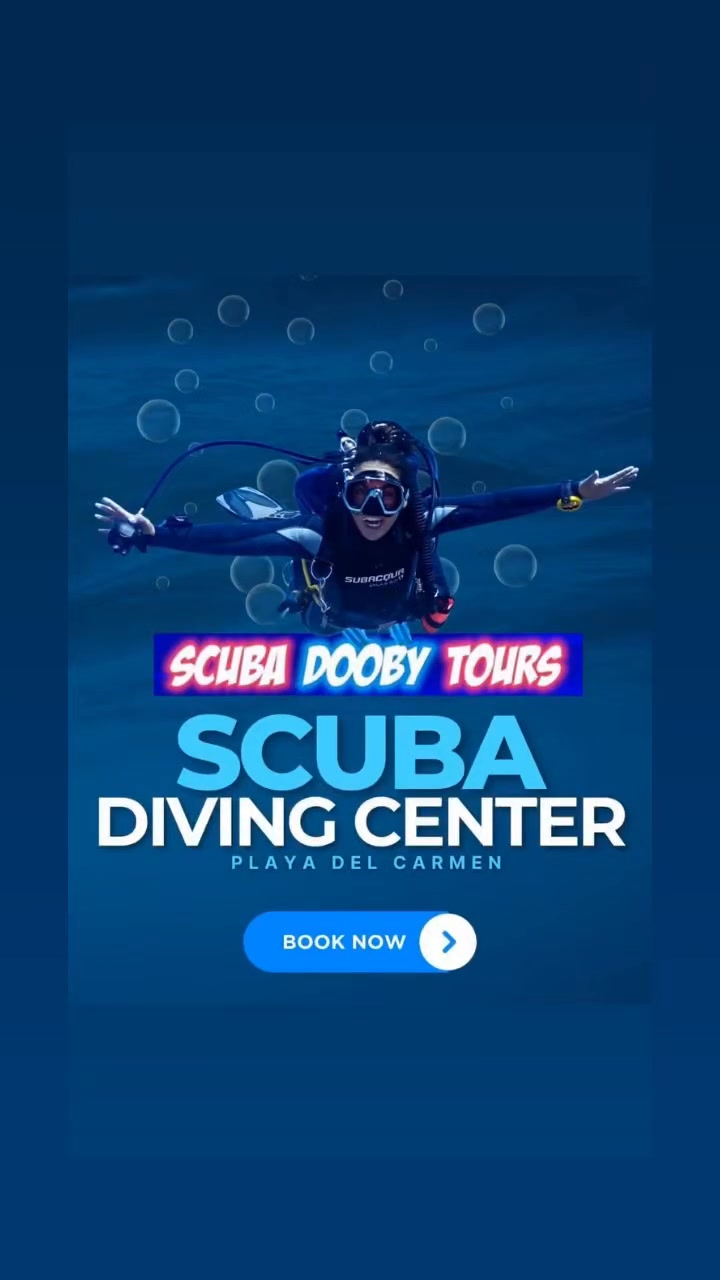 Scuba Dooby Tours | Playa del Carmen