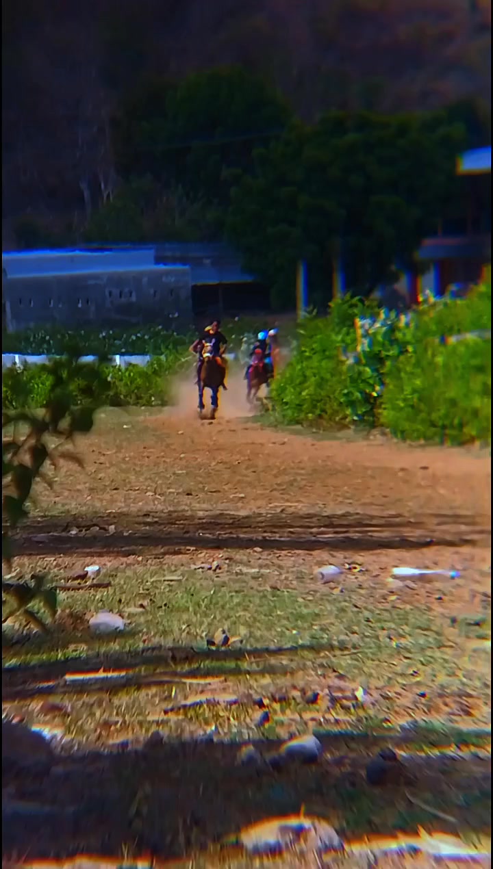 Pelepasnya gacor #Horse #Racing | Aba Aponk | Facebook