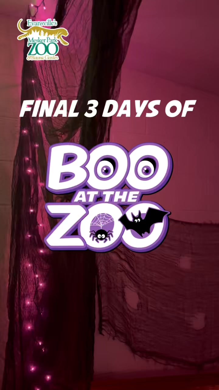 We’re in the FINAL 3 days of Boo at the Zoo, presented by Old National ...