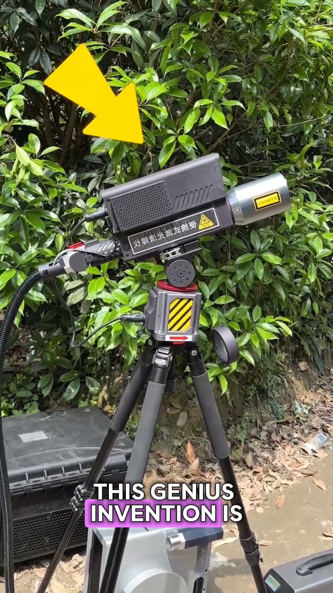 The Most Effective Way to Cut Trees 🌲 The best way to cut trees ever ...