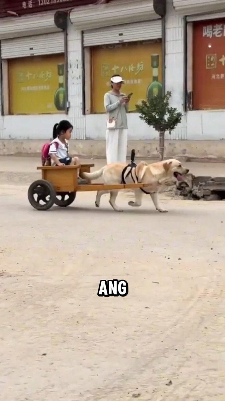 Aso Tagasundo sa School | Anyare? | Facebook