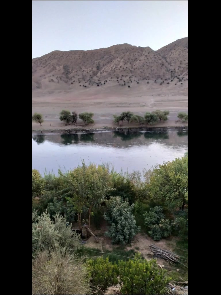 شوان میرە_shwan mera