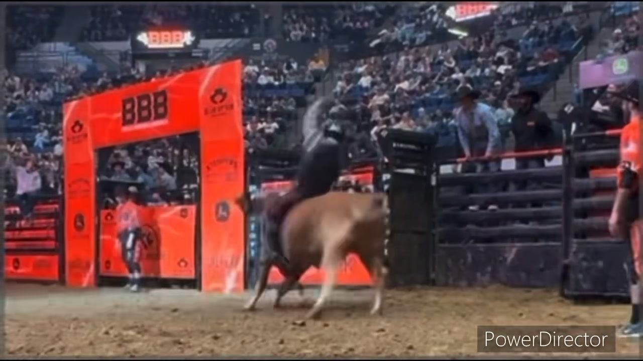 Casey Coulter-Professional Bull Rider