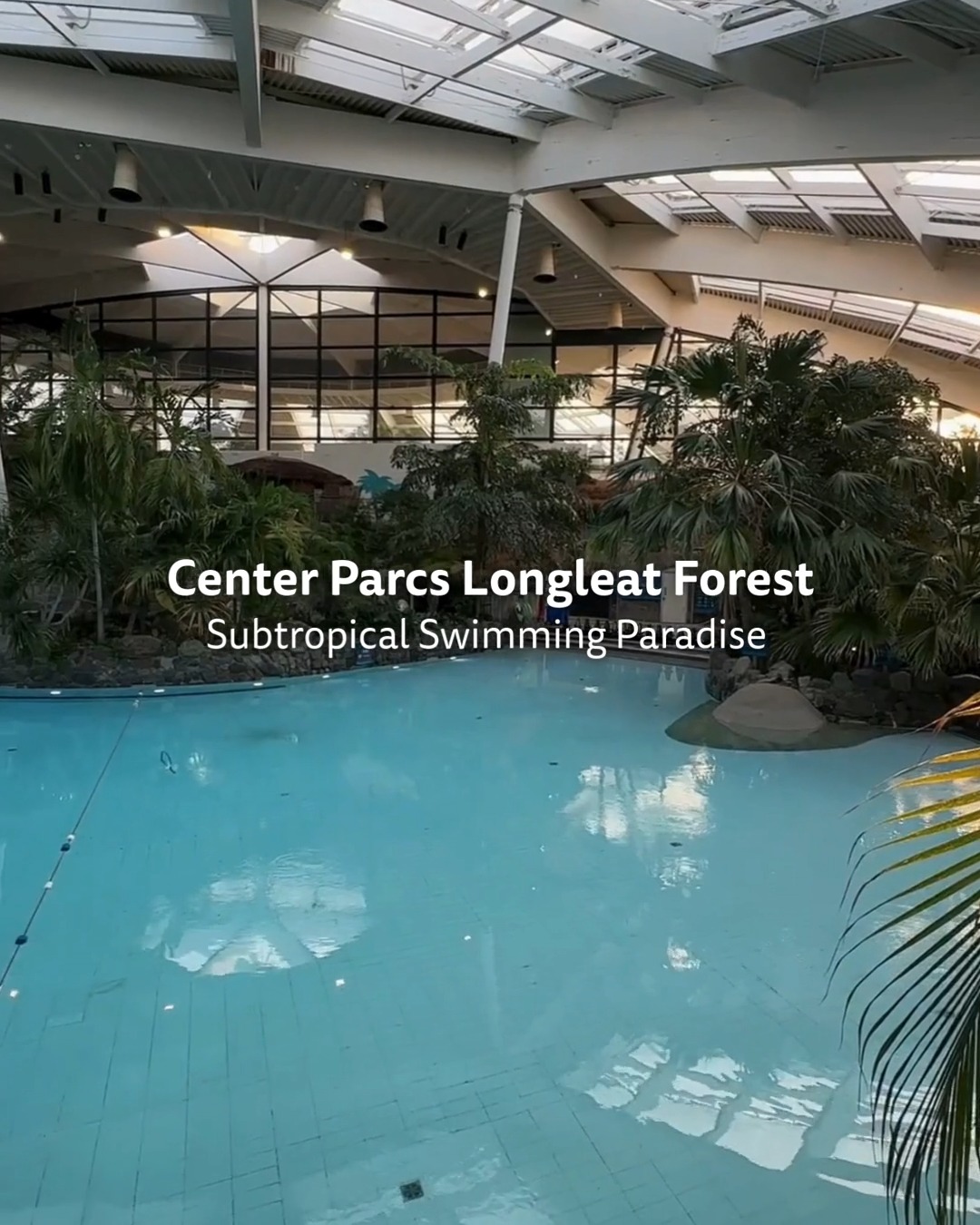 Take a look around the Subtropical Swimming Paradise at Longleat Forest ...