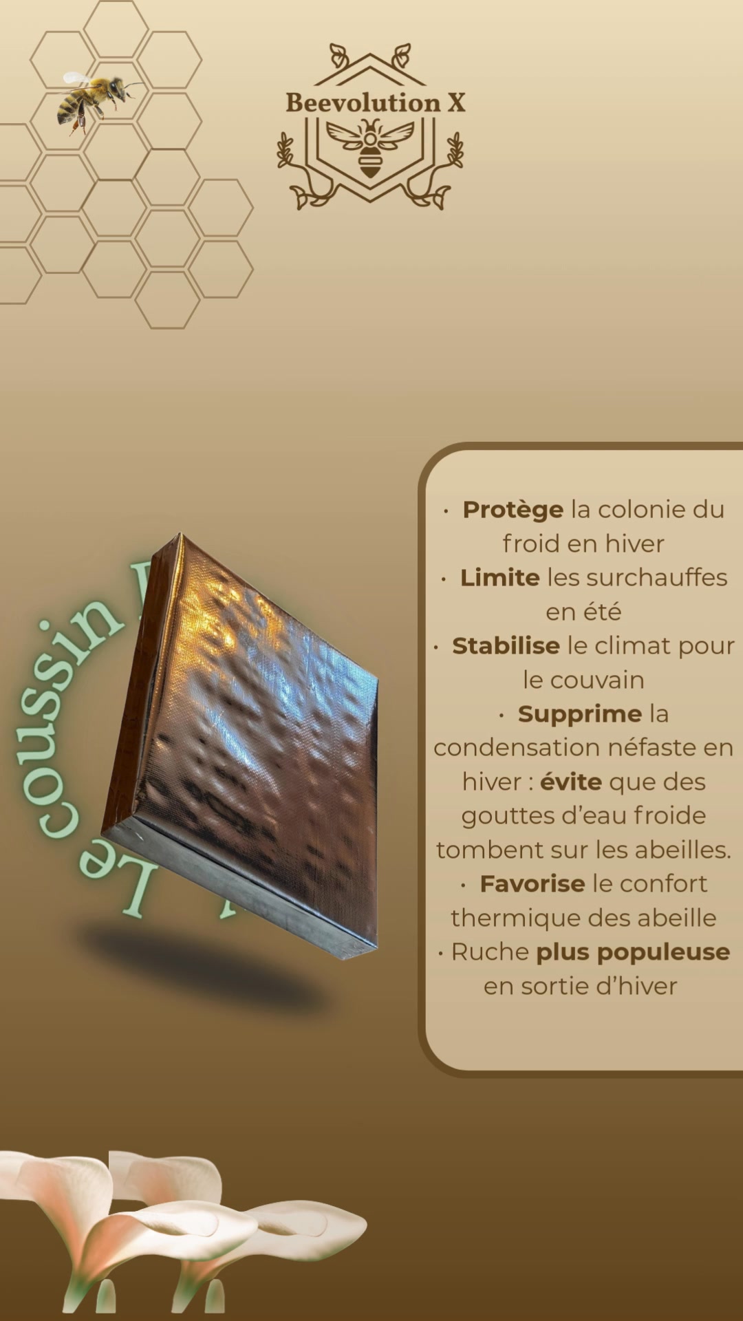 Masterclass lundi 9 février à 21h, lien d'inscription dans la bio Tu ...
