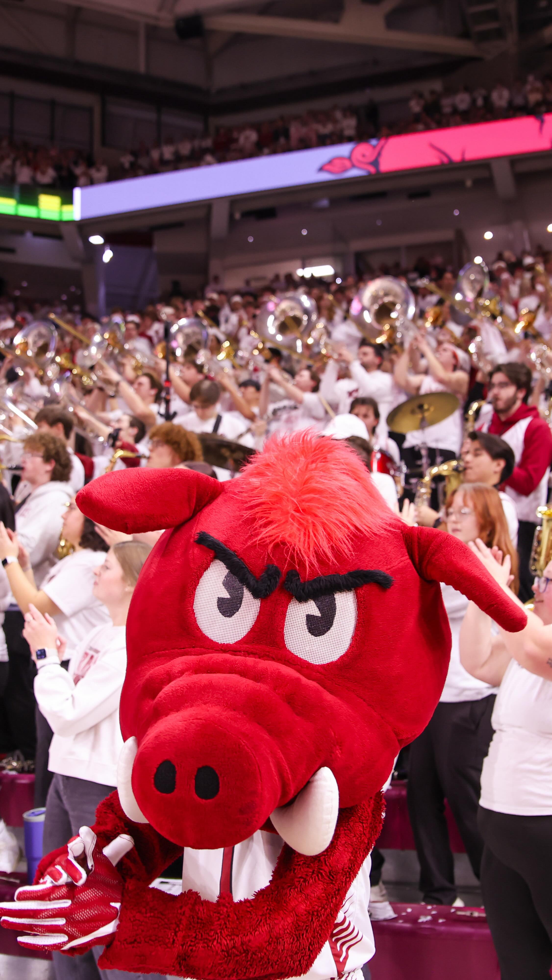 The Best Band in College Basketball: The Hogwild Band 🐗🎺🏀 #razorbacks # ...