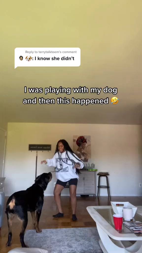 Reply to he alright though I told him to walk it off 😭 #rottweiler # ...