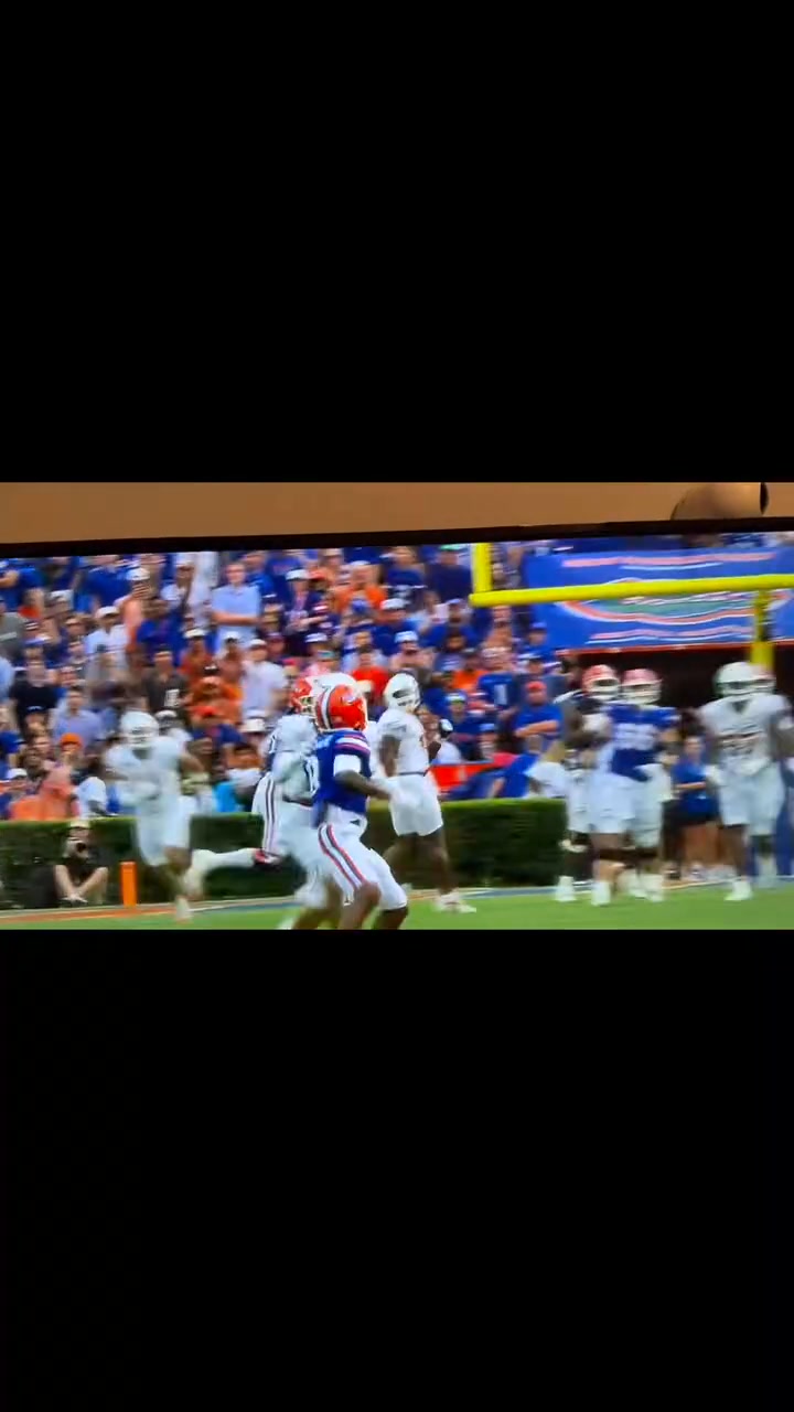 florida-gator-highlights-memories-from-the-swamp-to-the-spotlight