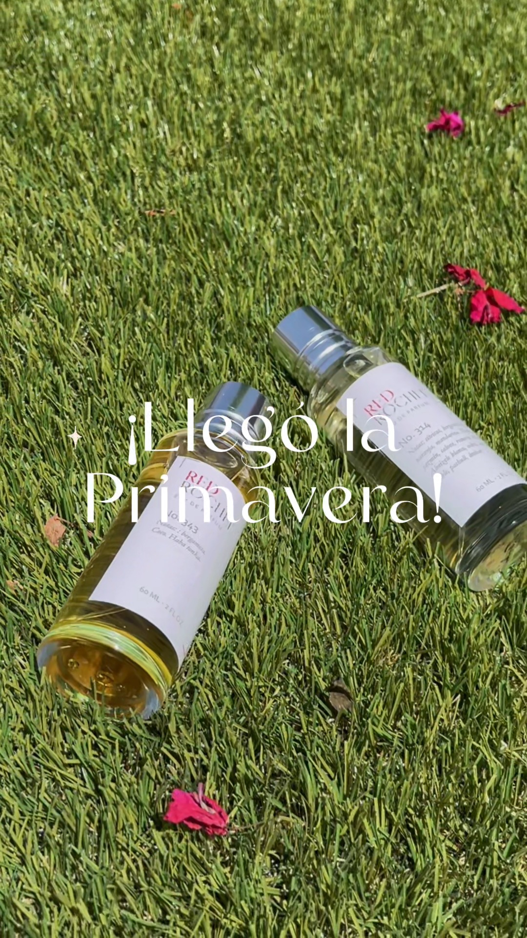 Primavera Red Rochel ☀️ Descubre fragancias ligeras, florales y ...