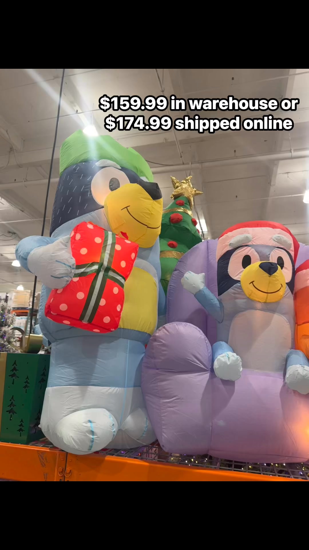 💙Bring the fun home with the Bluey & Family Inflatable — perfect for ...